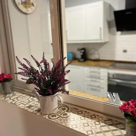 Des Rustic Center アパート *