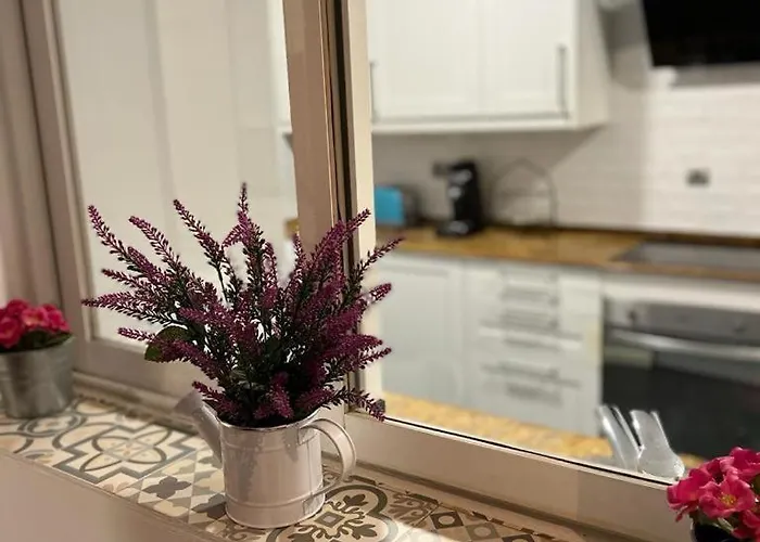 Des Rustic Center Apartment *